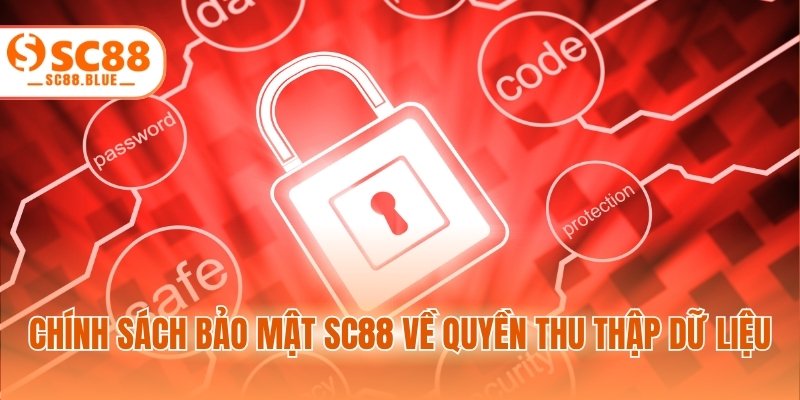 Chính sách bảo mật SC88 về quyền thu thập dữ liệu